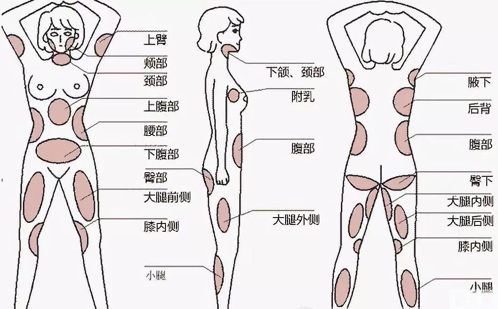 在成为“刘畊宏女孩”的第7天，我选择躺瘦~ 图片-5