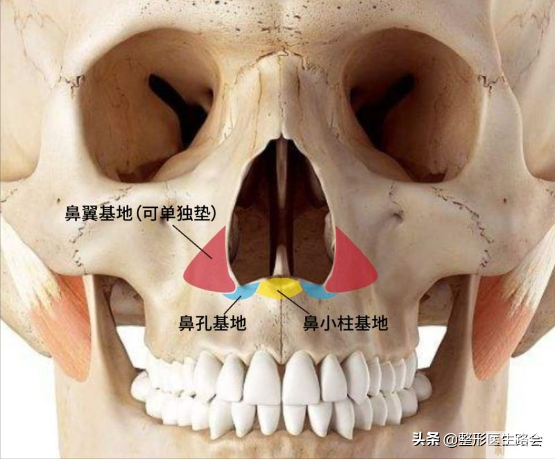 10问10答:“鼻基底填充”是智商税吗?注射OR手术，怎么填更好? 图片-1