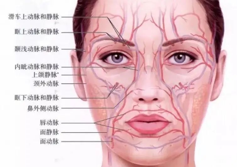 教你如何从类型、品牌、价格选择玻尿酸! 图片-10