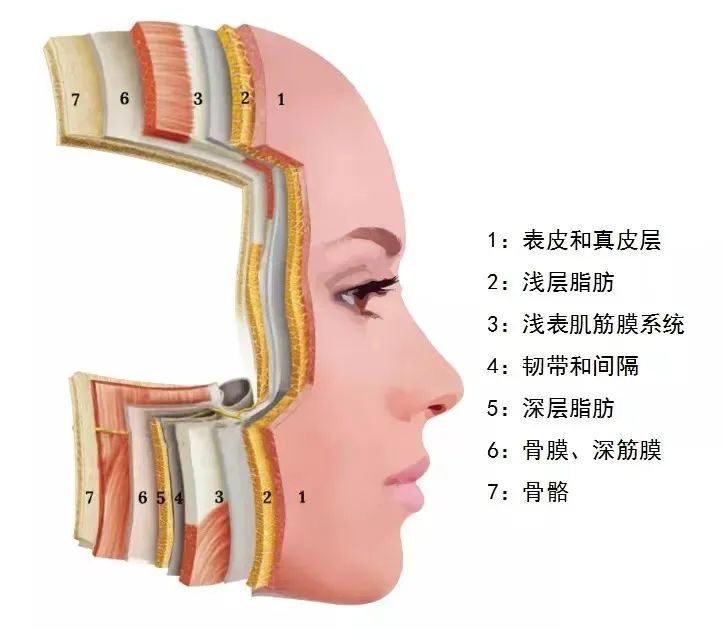 抗衰项目层出不穷，究竟该怎么选? 图片-4