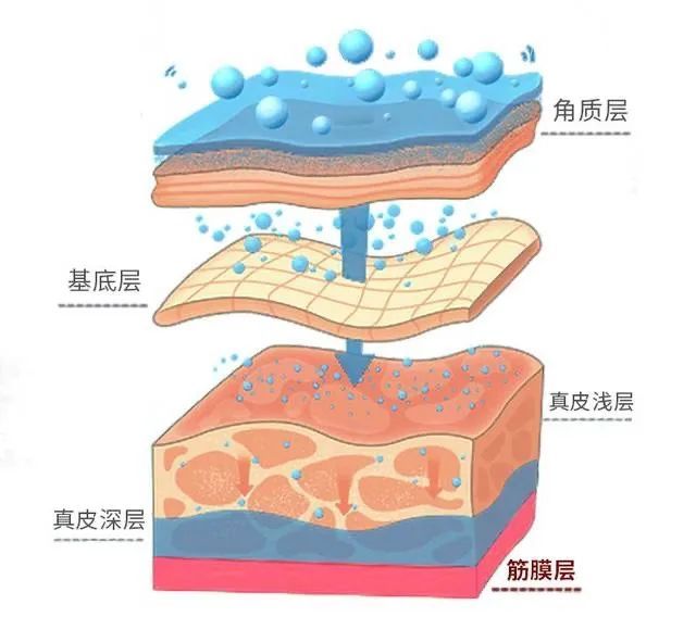 实力抗衰“超声炮”，真的值得尝试吗? 图片-3