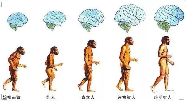 牙齿矫正一定要拔牙吗? 图片-6