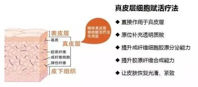 护肤不能只顾脸面，小心拖你后腿 图片-5