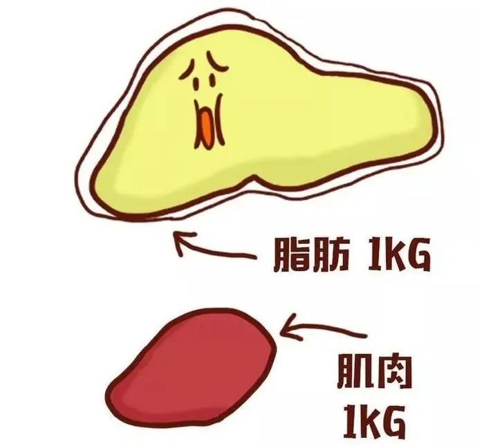 关于吸脂，你们关心的问题都在这里! 图片-14