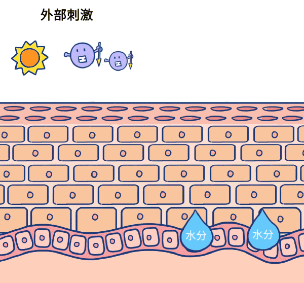 皮肤屏障受损可以选择哪些医美项目? 图片-1