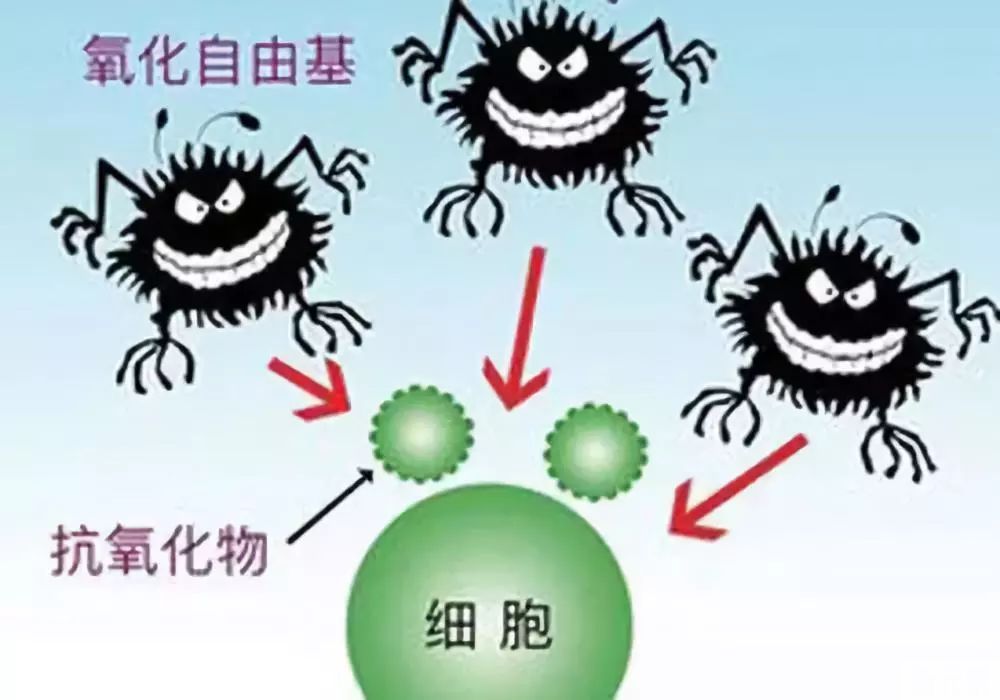 听到“抗衰”两个字...是不是觉得离自己太过遥远? 图片-7