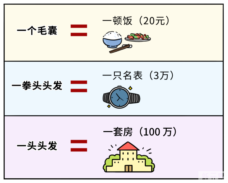 为啥头发掉那么快，其他毛都不掉? 图片-3
