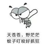 被蚊虫叮咬后该如何处理，避免留疤? 图片-3