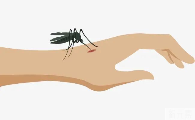 被蚊虫叮咬后该如何处理，避免留疤? 图片-7