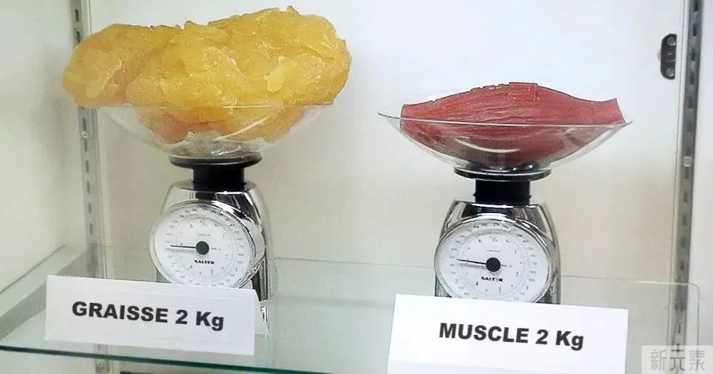 大肥腿小壮腿，想要瘦下来，这个关键点不能忽略 图片-13
