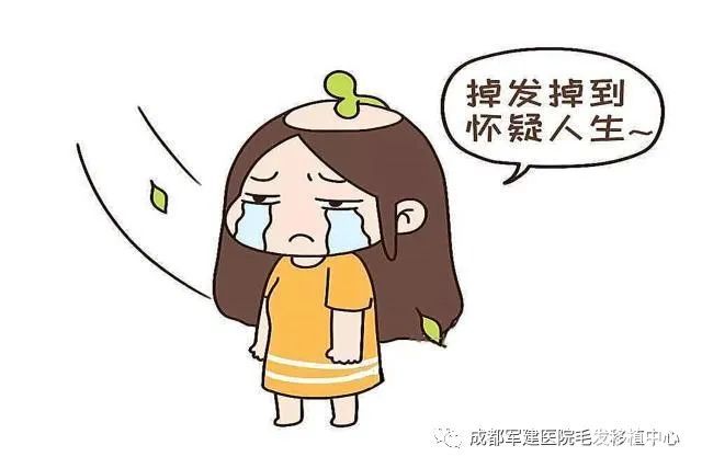 脱发原因及脱发类型你知道吗? 图片-2