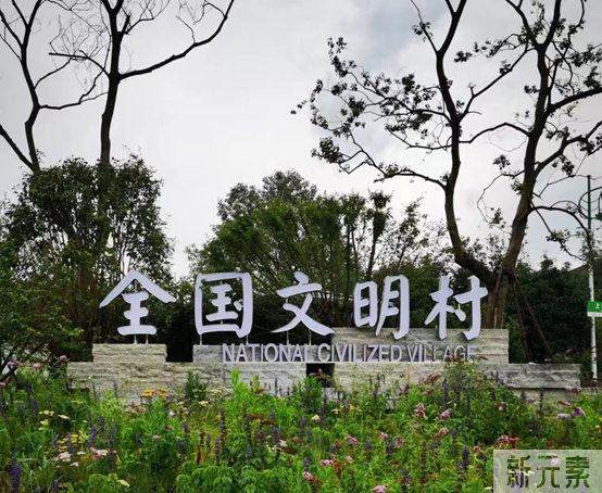 【盛飨茶香，为党庆生】浙江省整形美容行业协会、浙江医院整形外科党支部龙坞茶香文化之旅 图片-3