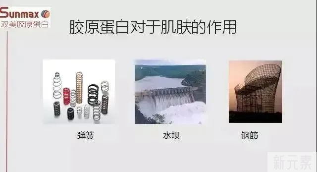 您有一篇除皱攻略——“双美胶原蛋白”详解，请注意查收! 图片-7