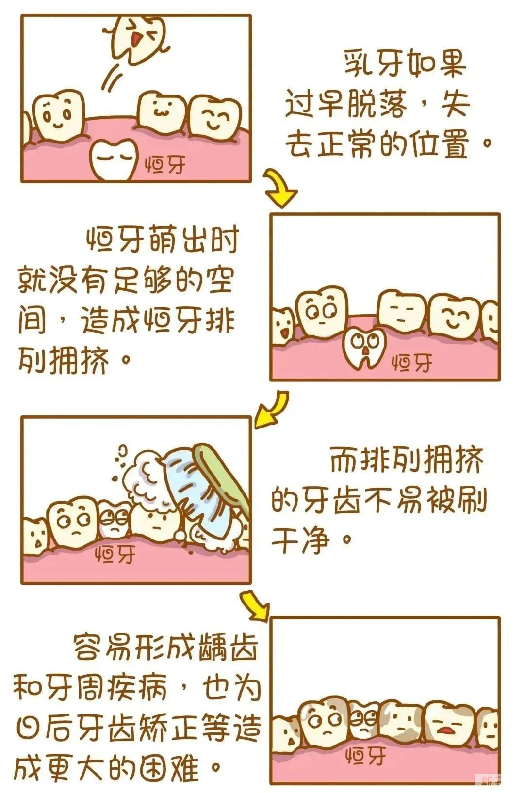 科普来了 | 爸妈必看!乳牙换恒牙 前后注意啥? 图片-3