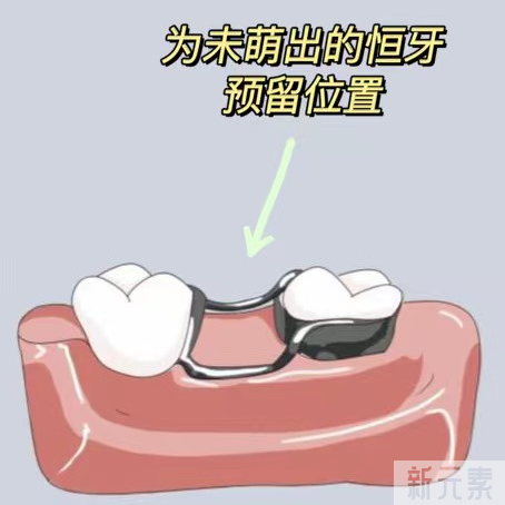 科普来了 | 爸妈必看!乳牙换恒牙 前后注意啥? 图片-7