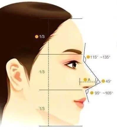 鼻基底填充到底有多重要? 图片-6