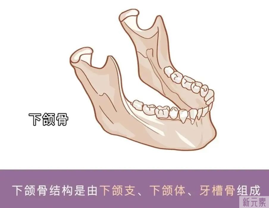 牙齿矫正能改变脸型?这三类人最有发言权~ 图片-3