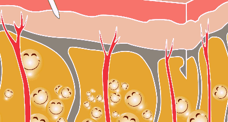 宅家3种常吃的主食，吃哪个更不易发胖? 图片-5