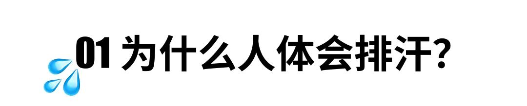 出汗越多瘦得就越快? 图片-4
