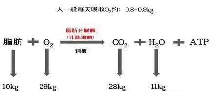 出汗越多瘦得就越快? 图片-9