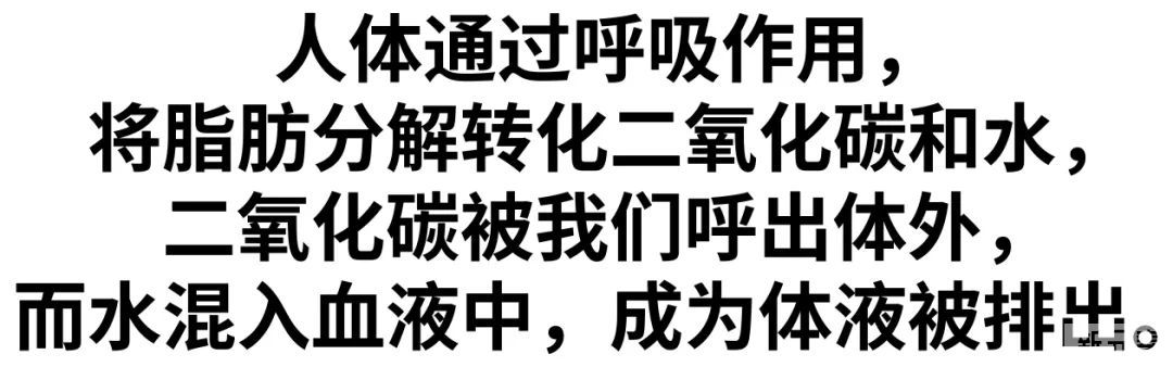 出汗越多瘦得就越快? 图片-8