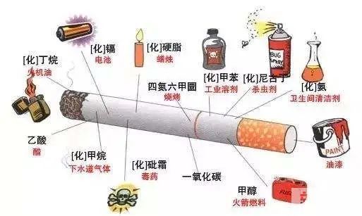 科普来了 | 香烟就是这样夺走你的牙齿的! 图片-4
