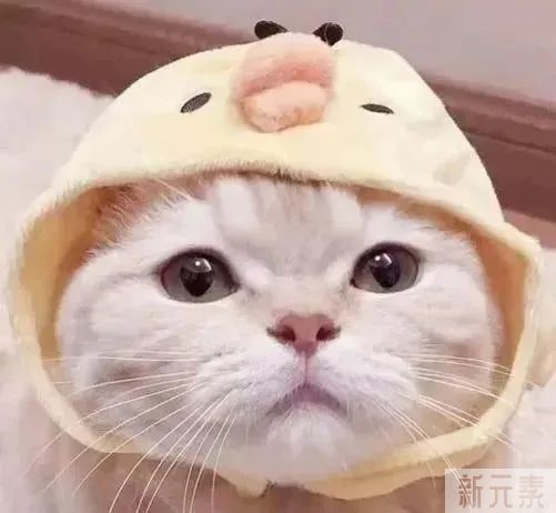 如何区分脂肪粒与粉刺?看这4点就够了 图片-9