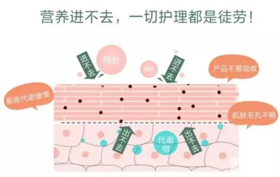 中胚层疗法 | 你的护肤品，真的都被皮肤吸收了吗? 图片-2