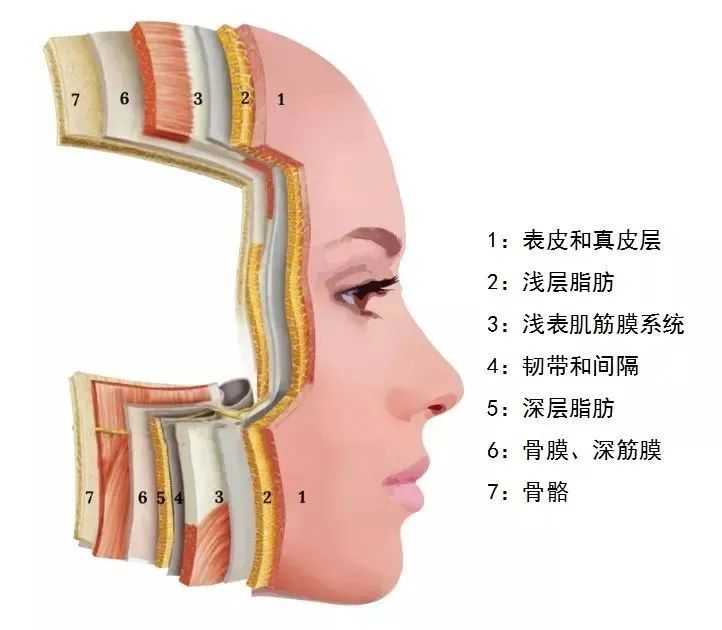 衰老由内而外并不遥远，对抗延缓有针对才能青春常驻 图片-1