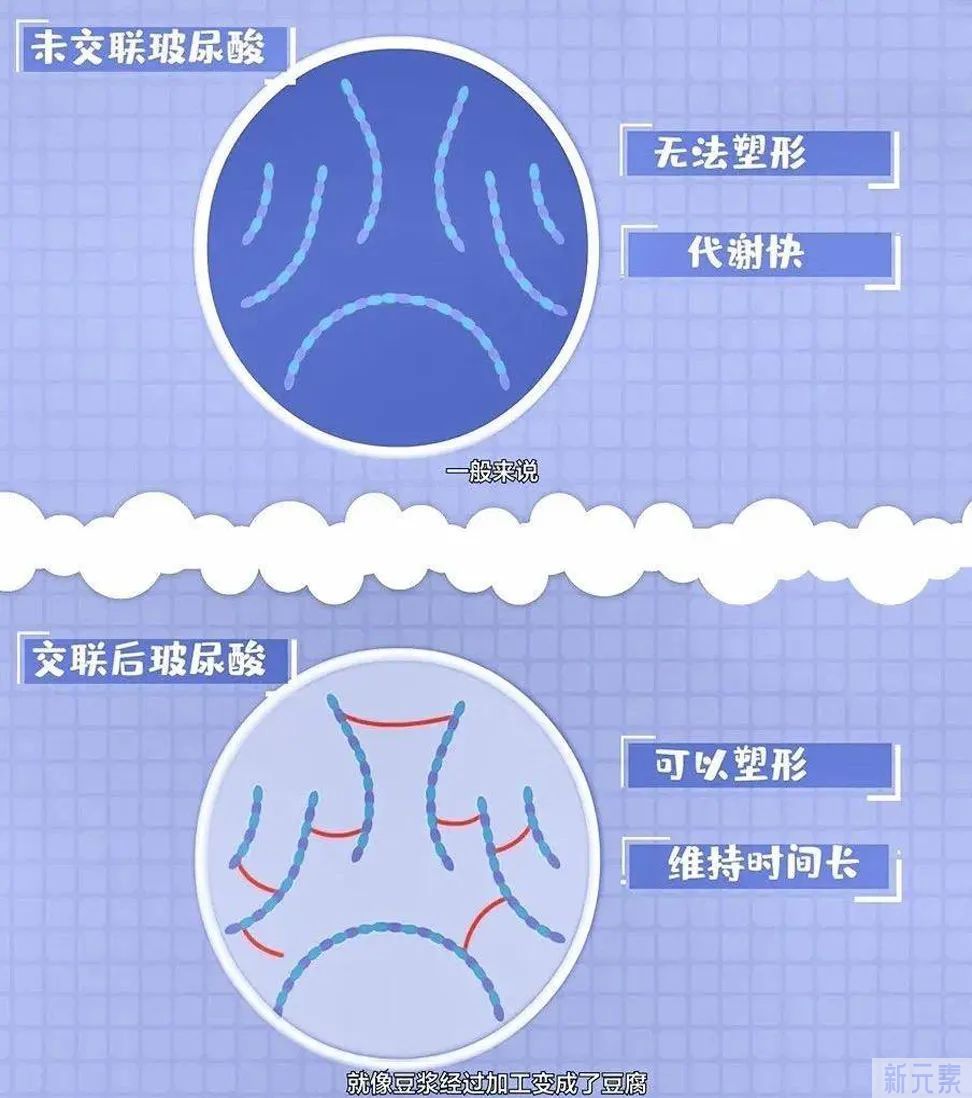 交联玻尿酸、非交联玻尿酸的区别 图片-2