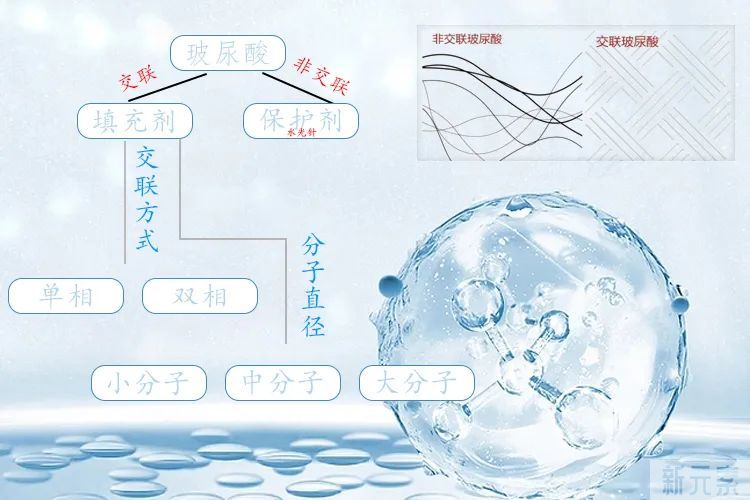 交联玻尿酸、非交联玻尿酸的区别 图片-1