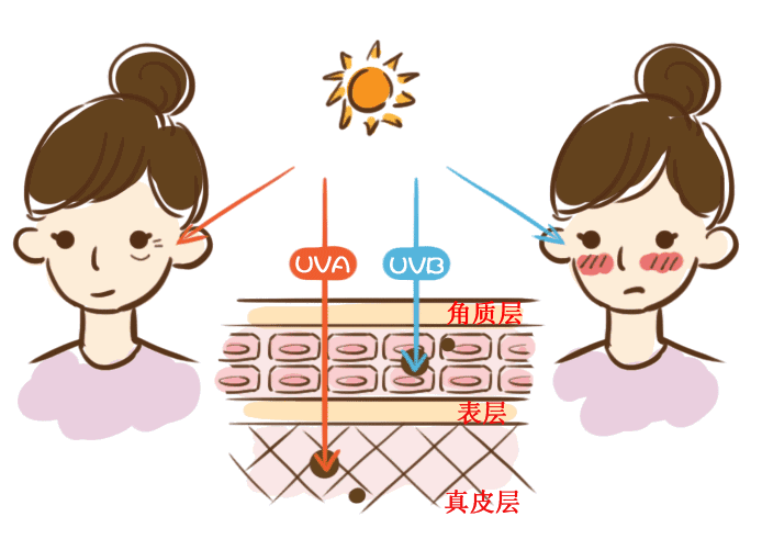 【疤痕科普】色素沉着会随着时间慢慢消失吗?该不该治疗? 图片-7