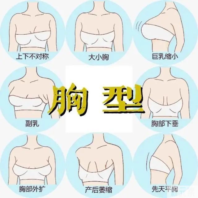 女生的胸，为什么不能乱揉? 图片-16