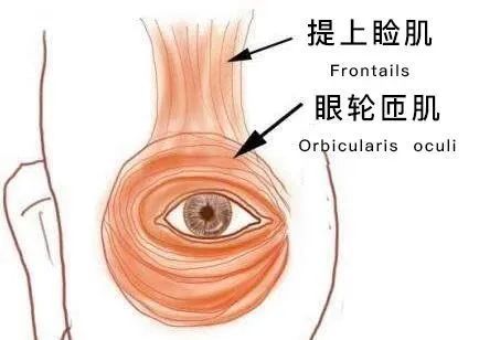 【干货满满】眼袋、泪沟、皱纹、眼窝凹陷...眼周多维度抗老，就看这篇! 图片-28