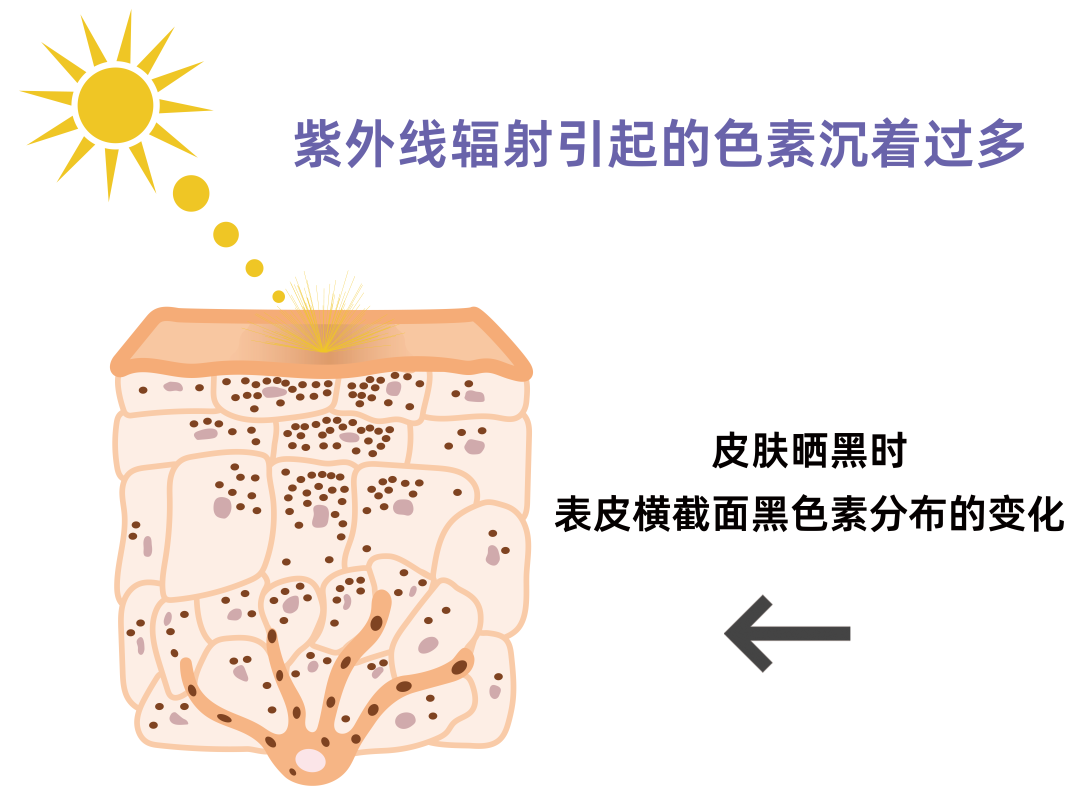 【在云南想要淡斑的看过来】适合我们的方式原来是这个 图片-8