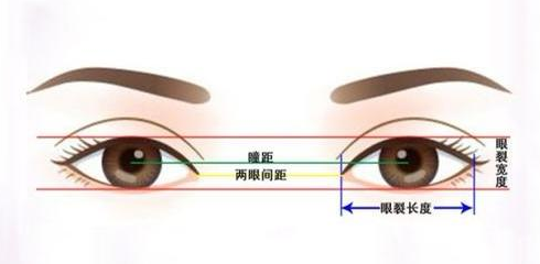 眼距宽是“名模脸”的特征? 图片-15