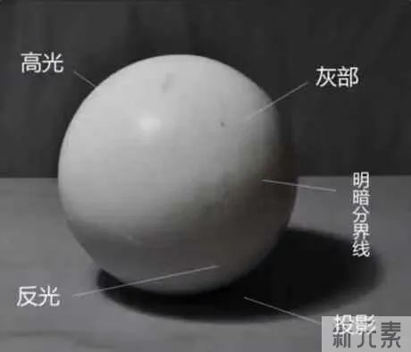 《在光影之间，追寻美的踪迹——夏正义院长参会艾尔建“三阶光影美学”》 图片-3