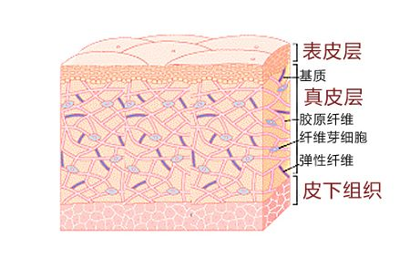 怎么淡化妊娠纹?别再走弯路了! 图片-9