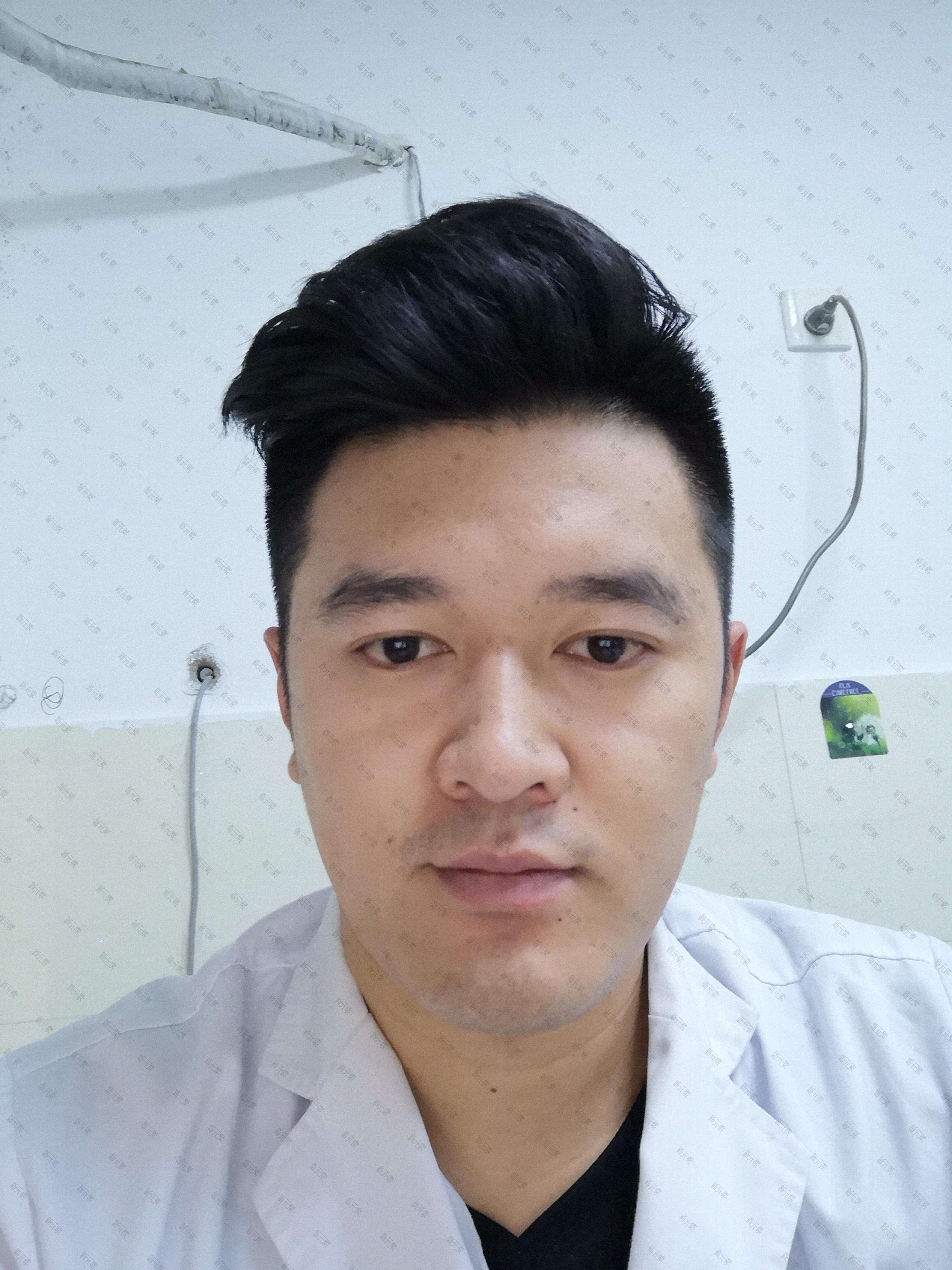 滕鹰
