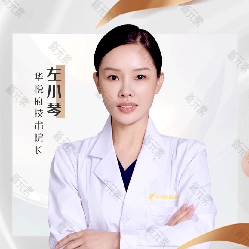 左小琴 头像
