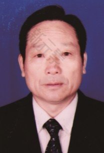 冯义