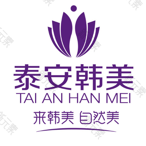 泰安韩美整形美容 logo