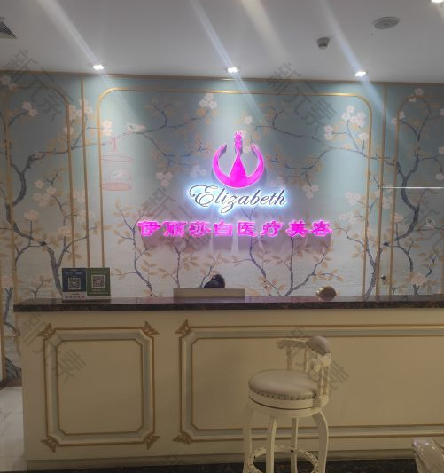 武汉伊丽莎白医疗美容 logo