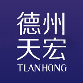 德州天宏医疗美容 logo