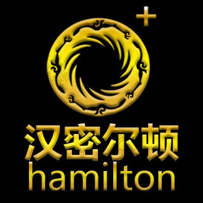 宿州汉密尔顿整形美容 logo