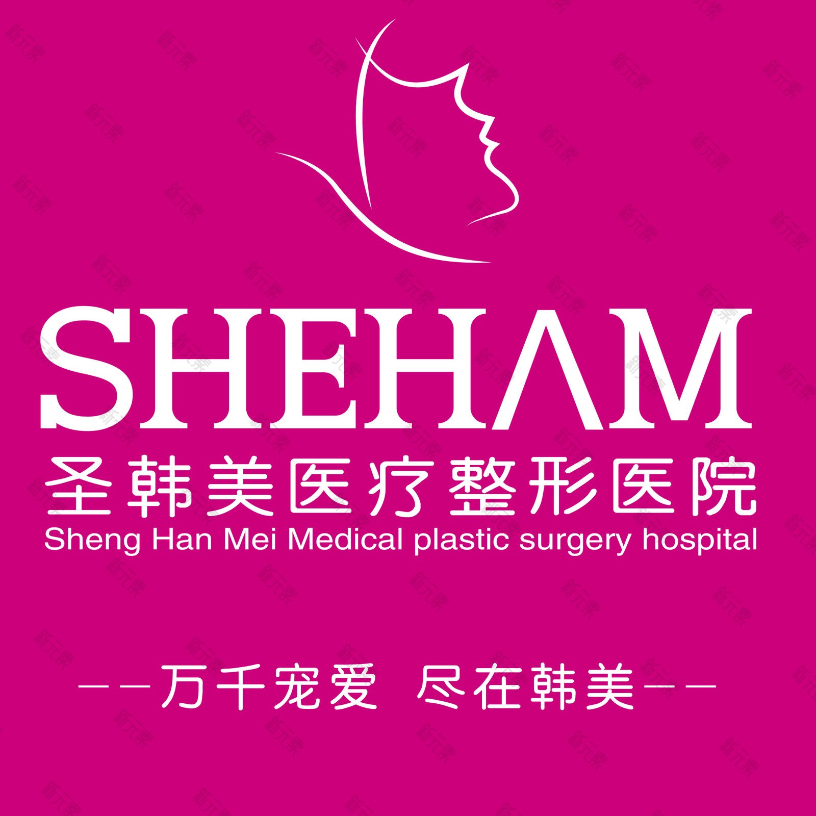 天津圣韩美 logo