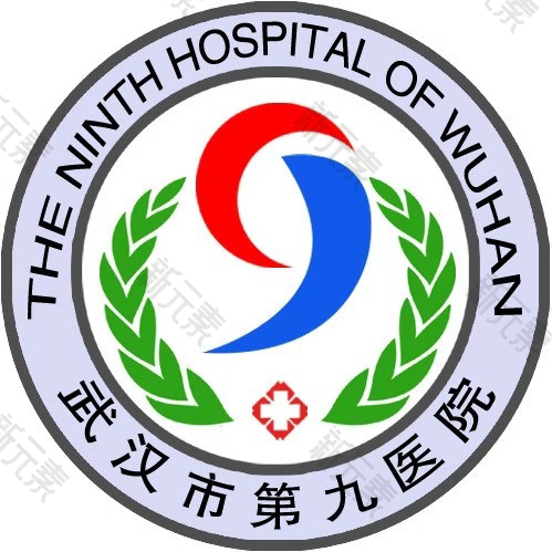 武汉市第九医院