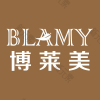 天津博莱美医疗美容